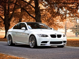 Leaf, BMW M3 Coupe, Way