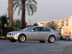 BMW 7, Palms