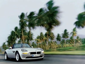BMW Z8, Palms