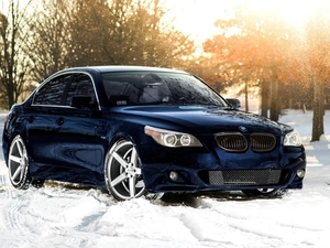 M5, Automobile, trees, BMW, Granate, snow, viewes