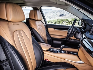 skin, BMW X6 F16, interior