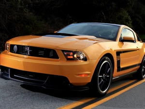 antique, Ford Mustang Boss 302, 1970