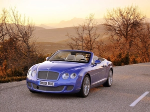 skin, Bentley Continental GTC, Bright