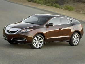 Brown, Acura ZDX
