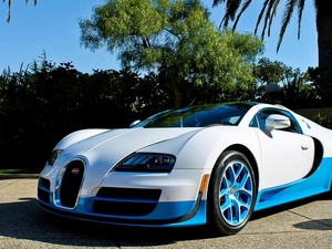 Bugatti Veyron, Palms