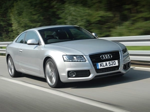 Mask, Audi A5, bumper