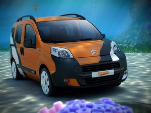 Mask, Citroen Nemo, bumper