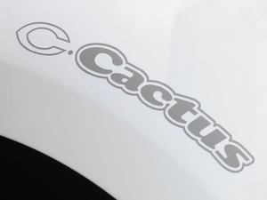 logo, Citroen C-Cactus