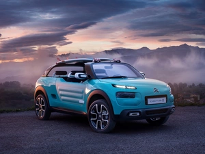 Citroen Cactus M Concept, 2015