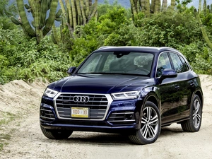 Cactus, Audi Q5 TFSI Quattro SUV Navarra Blue, 2017