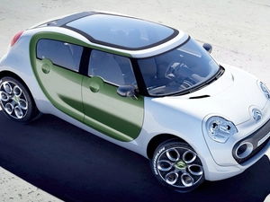 Doors, Citroen C-Cactus, green ones