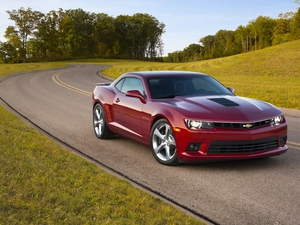 Way, forest, Chevrolet, Camaro SS, Red, Meadow
