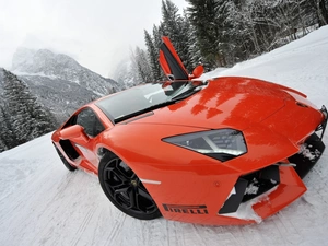 motor car, Aventador, winter, Lamborghini