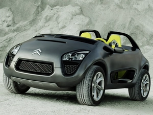 Company, Citroen C-Buggy, emblem
