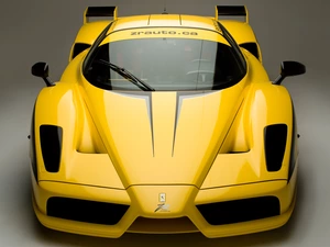 Ferrari Enzo, Edo, Competition