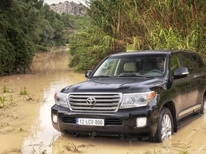 trees, viewes, Land Cruiser, brook, Toyota