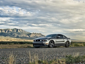 Ford, Way, Desert, Mustang