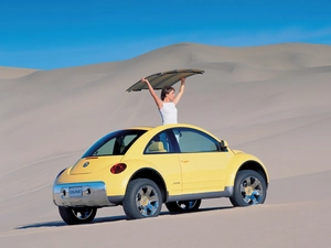Volkswagen New Beetle, Desert