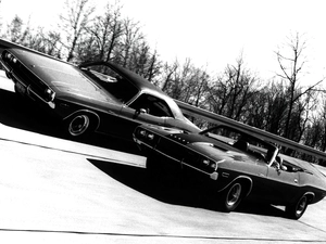 Dodge Challenger, race