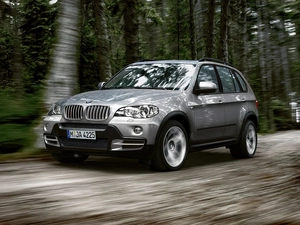 forest, Bmw X5, E70