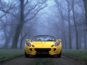Front, Yellow, Lotus Elise