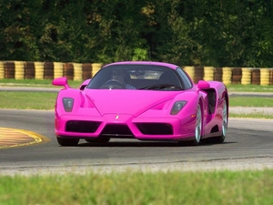Enzo, Pink, Ferrari