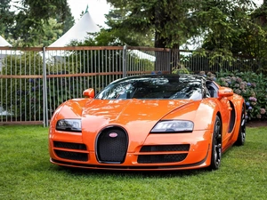Bugatti, Flowers, fence, estate