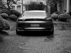 trunk, Citroen Metropolis, flap