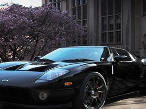 Ford, GT