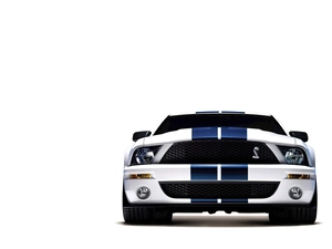 Ford Shelby GT500