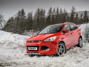 ford kuga, snow