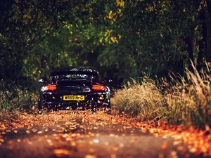 Way, 911, autumn, forest, Porsche, Leaf, ##