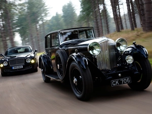 Two cars, cars, forest, Black