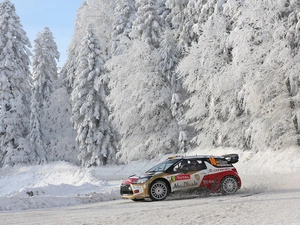 Citroen DS3, winter, forest