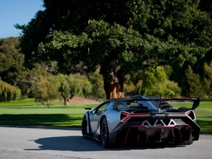 forest, Lamborghini, Way