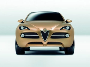 Alfa Romeo Kamal, Front