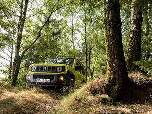 forest, Suzuki Jimny, Front