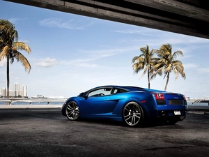 Blue, Lamborghini Gallardo