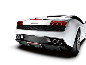 Lamborghini Gallardo Lp-560, Back
