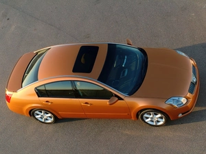Golden, Nissan Maxima