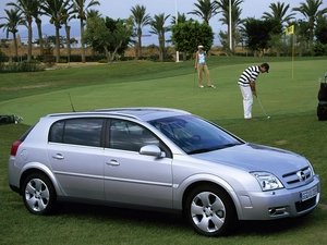 grass, Opel Signum, Golf