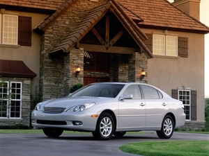 Bright Gray, ES, Home, Lexus