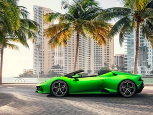 Palms, green ones, Lamborghini Huracan