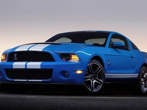 Shelby, Ford Mustang GT 500, pack
