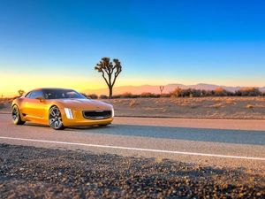 Yellow, Kia, GT4 Stinger