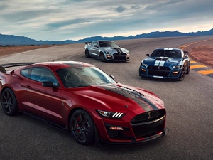 Ford Mustang Shelby GT500, Three, cars