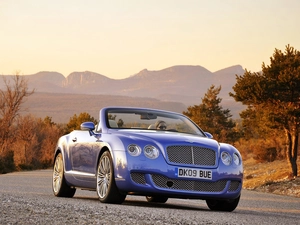 blue, Bentley Continental GTC
