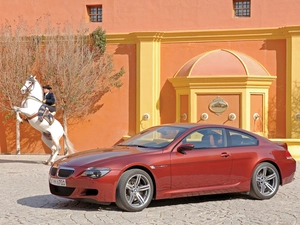 BMW 6, White horse