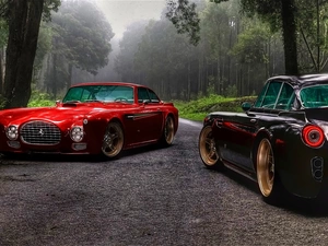 Hot Rods, forest