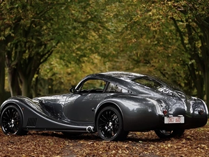 viewes, Leaf, Morgan, trees, Automobile